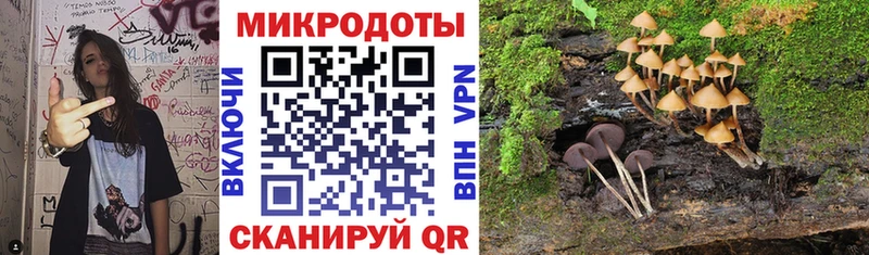 Купить где Канск Галлюциногенные грибы GOLDEN TEACHER